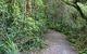 Rainforest Walking Track, Roberston Nature Reserve - thumb 0