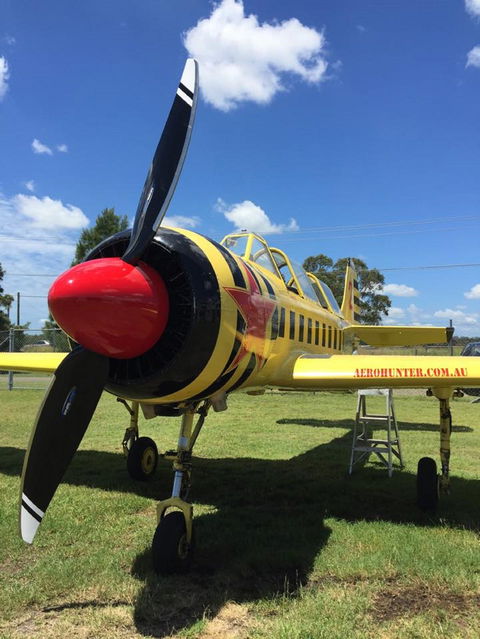 Aerohunter - Yarra Valley Accommodation 0