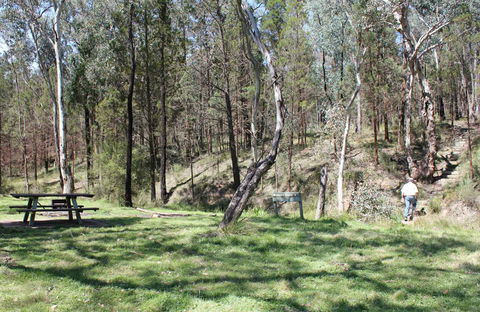 Wallaby Walking Track - Yarra Valley Accommodation 0