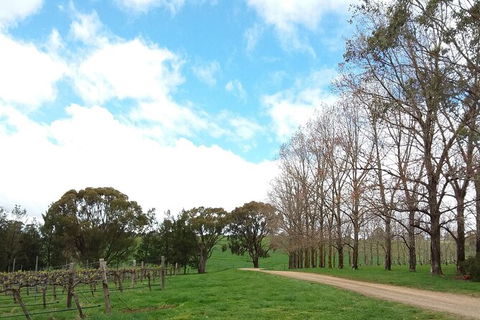 All-inclusive Morning Wine Tour In Orange - Yarra Valley Accommodation 8