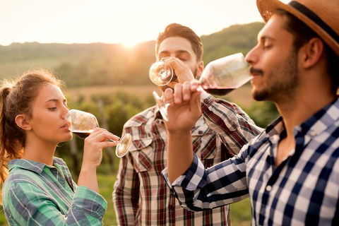 All-inclusive Morning Wine Tour In Orange - Yarra Valley Accommodation 0