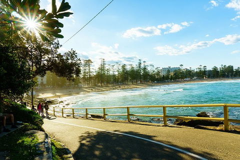Sydney With Bondi And Beaches Essentials Private Day Tour - Yarra Valley Accommodation 8