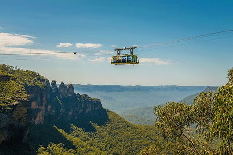 Blue Mountains Highlights, Wildlife Park And Scenic World Full Day Private Tour - Yarra Valley Accommodation 0