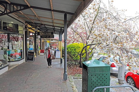 Blue Mountains Highlights, Wildlife Park And Scenic World Full Day Private Tour - Yarra Valley Accommodation 2