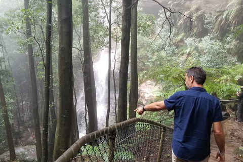 Blue Mountains Highlights, Wildlife Park And Scenic World Full Day Private Tour - Yarra Valley Accommodation 6