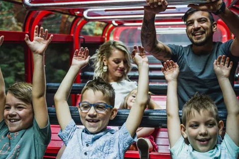Blue Mountains Highlights, Wildlife Park And Scenic World Full Day Private Tour - Yarra Valley Accommodation 5