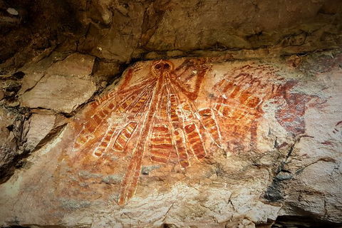 Arnhem Land Injalak Hill Full-Day Tour From Darwin - Yarra Valley Accommodation 1