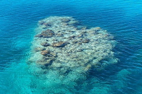 Lady Musgrave Day Trip From Bundaberg Including Snorkeling, Glass Bottom Tour And Guided Island Walk - Yarra Valley Accommodation 2