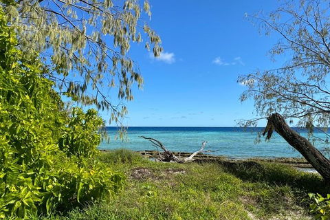 Lady Musgrave Day Trip From Bundaberg Including Snorkeling, Glass Bottom Tour And Guided Island Walk - Yarra Valley Accommodation 6