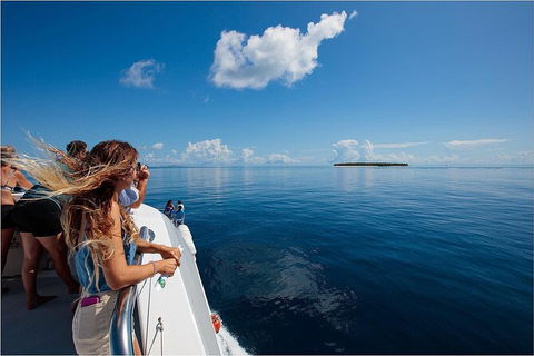 Lady Musgrave Day Trip From Bundaberg Including Snorkeling, Glass Bottom Tour And Guided Island Walk - Yarra Valley Accommodation 4