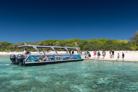 Lady Musgrave Day Trip From Bundaberg Including Snorkeling, Glass Bottom Tour And Guided Island Walk - Yarra Valley Accommodation 5