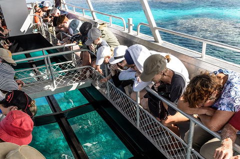 Lady Musgrave Day Trip From Bundaberg Including Snorkeling, Glass Bottom Tour And Guided Island Walk - Yarra Valley Accommodation 3