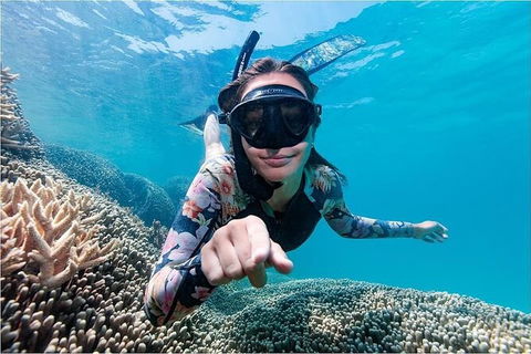 Lady Musgrave Day Trip From Bundaberg Including Snorkeling, Glass Bottom Tour And Guided Island Walk - Yarra Valley Accommodation 1