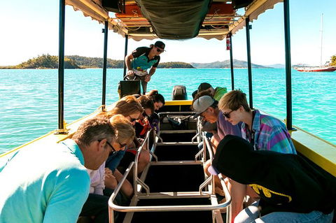 Airlie Beach Glass Bottom Boat Tour - Yarra Valley Accommodation 5