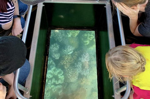 Airlie Beach Glass Bottom Boat Tour - Yarra Valley Accommodation 10