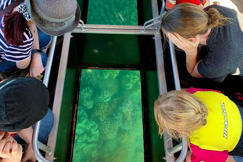 Airlie Beach Glass Bottom Boat Tour - Yarra Valley Accommodation 11