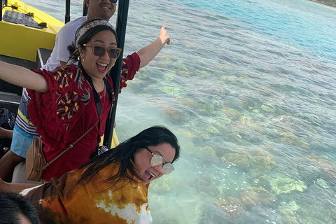Airlie Beach Glass Bottom Boat Tour - Yarra Valley Accommodation 6