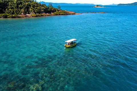 Airlie Beach Glass Bottom Boat Tour - Yarra Valley Accommodation 8