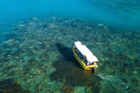 Airlie Beach Glass Bottom Boat Tour - Yarra Valley Accommodation 9