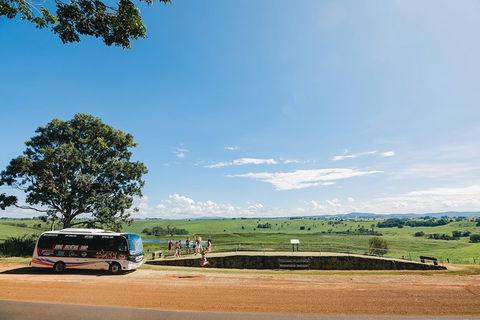 Atherton Tablelands Waterfalls And Rainforest Day Tour Departing Cairns - Yarra Valley Accommodation 9