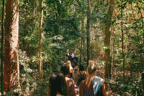 Atherton Tablelands Waterfalls And Rainforest Day Tour Departing Cairns - Yarra Valley Accommodation 10