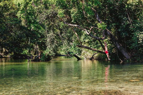 Atherton Tablelands Waterfalls And Rainforest Day Tour Departing Cairns - Yarra Valley Accommodation 3