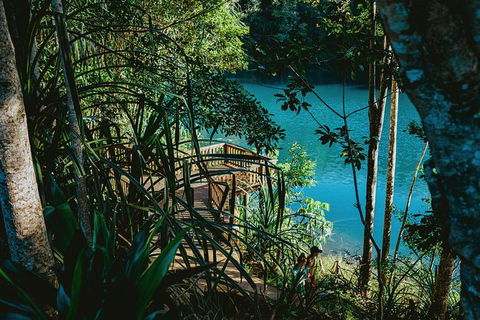Atherton Tablelands Waterfalls And Rainforest Day Tour Departing Cairns - Yarra Valley Accommodation 5