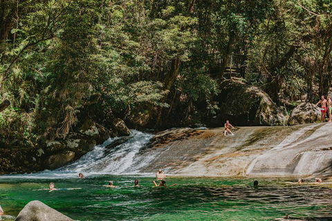 Atherton Tablelands Waterfalls And Rainforest Day Tour Departing Cairns - Yarra Valley Accommodation 8