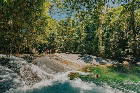 Atherton Tablelands Waterfalls And Rainforest Day Tour Departing Cairns - Yarra Valley Accommodation 0