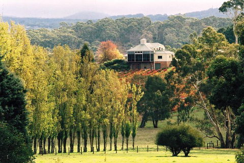 Adelaide Hills Wine Tour - Yarra Valley Accommodation 0