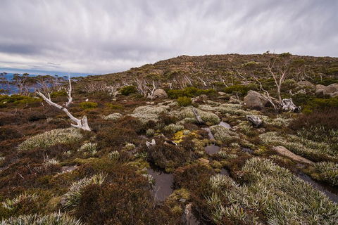 Alpine Loop - Yarra Valley Accommodation 0