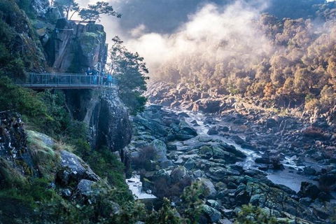 3.5 Hours Walking Tour To Cataract Gorge With Local Guide - Yarra Valley Accommodation 0