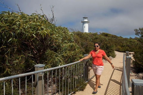 Half-Day Tour To Wineglass Bay From Launceston With Guide - Yarra Valley Accommodation 2