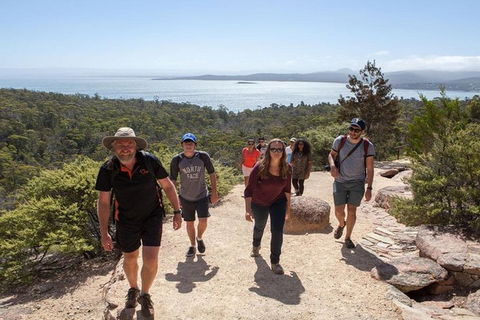 Half-Day Tour To Wineglass Bay From Launceston With Guide - Yarra Valley Accommodation 4