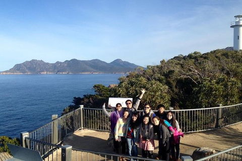 Half-Day Tour To Wineglass Bay From Launceston With Guide - Yarra Valley Accommodation 3