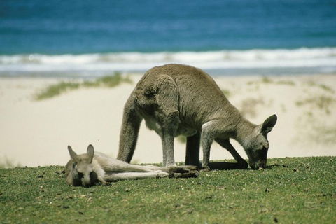 LGBT+ Friendly 12-Hour Great Ocean Road Private Tour - Yarra Valley Accommodation 3