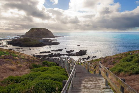 Healesville Sanctuary And Phillip Island Wildlife Bus Tour - Yarra Valley Accommodation 1