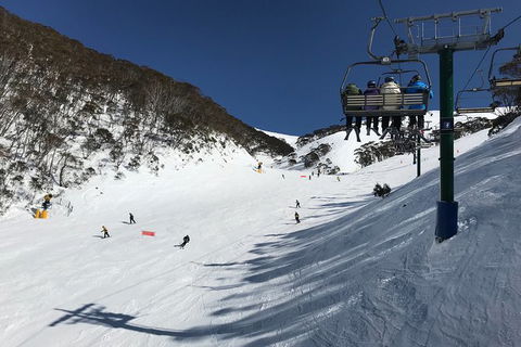 Alpine Ultimate Snow Trip - Yarra Valley Accommodation 10