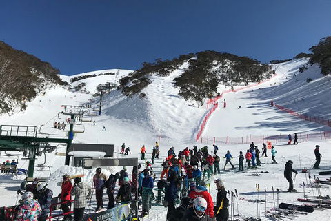 Alpine Ultimate Snow Trip - Yarra Valley Accommodation 4