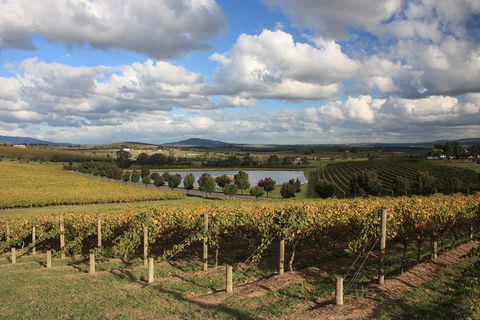 LGBT+ Friendly Full Day Yarra Valley & Dandenong Ranges Private Tour - Yarra Valley Accommodation 0