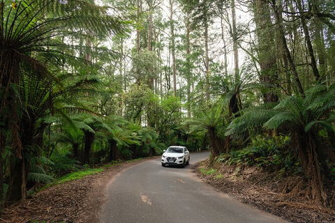 LGBT+ Friendly 3 Day Tour The Grampians, Daylesford & Ballarat - Yarra Valley Accommodation 1