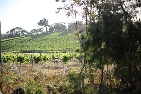 All Inclusive Surf Camp In Margaret River Region - Yarra Valley Accommodation 3