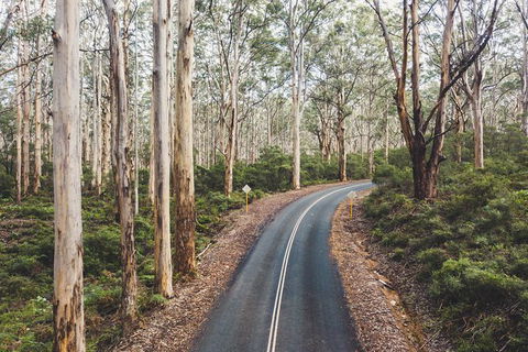 All Inclusive Surf Camp In Margaret River Region - Yarra Valley Accommodation 2