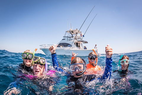 Life On Ningaloo Swimming Tour In Exmouth - Yarra Valley Accommodation 4