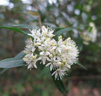 Booderee National Park - Yarra Valley Accommodation