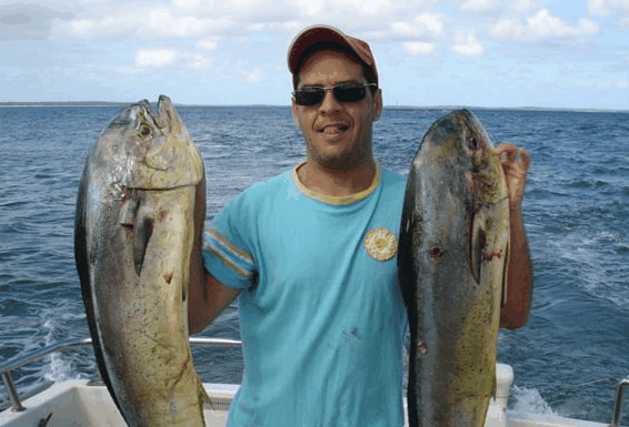 Jervis Bay Fishing and Charters - Yarra Valley Accommodation