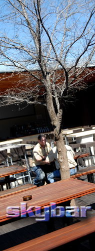 Alma Tavern - Yarra Valley Accommodation 2