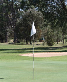 Inverell Golf Club - Yarra Valley Accommodation 1