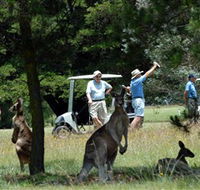 Glen Innes Golf Club - Yarra Valley Accommodation