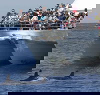 MoonshadowTQC Cruises - Yarra Valley Accommodation